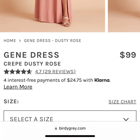 Birdy Grey Bridesmaid Gene Dress - Picture 3 of 6